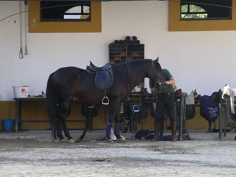 Spanje 2010 298.JPG
